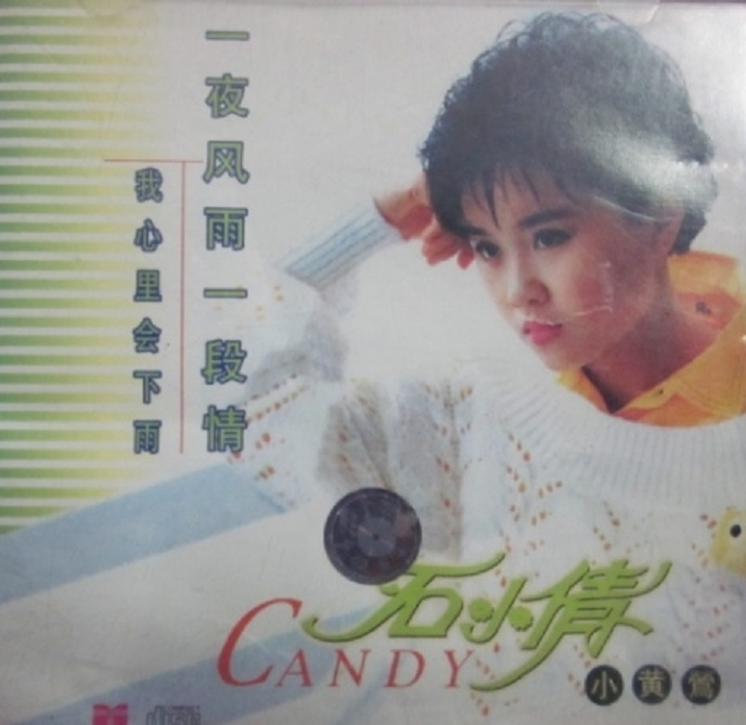 石小倩.1992-一夜风雨一段情（引进版）【天下唱片】【WAV+CUE】|591HiFi