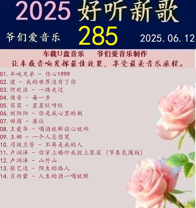 群星《2025好听新歌285》车载音乐【24bit-WAV分轨】|591HiFi