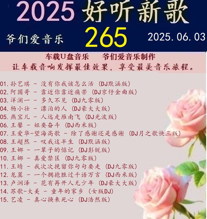 群星DJ《2025好听新歌265》车载音乐【WAV分轨】|591HiFi