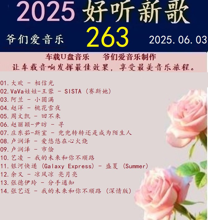 群星《2025好听新歌263》车载音乐【24bit-WAV分轨】|591HiFi