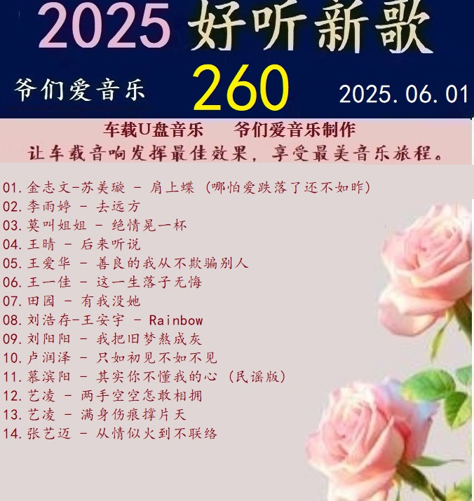 群星《2025好听新歌260》车载音乐[24bit-WAV分轨]|591HiFi